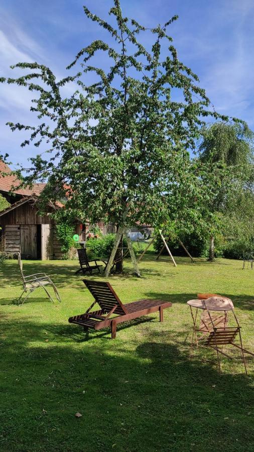 Gite Au Petit Ruisseau-Etage Et Combles-Maison Alsacienne 4 Personnes 4 Nuitees Minimum Langensoultzbach Екстер'єр фото