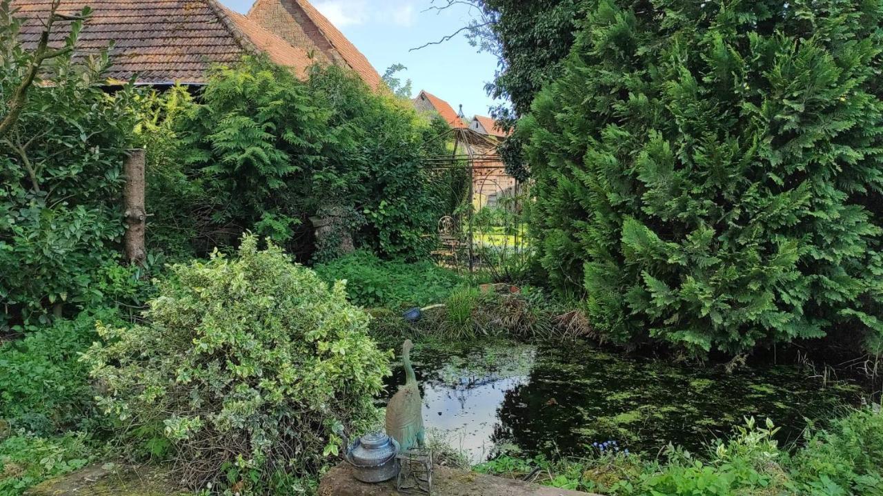Gite Au Petit Ruisseau-Etage Et Combles-Maison Alsacienne 4 Personnes 4 Nuitees Minimum Langensoultzbach Екстер'єр фото